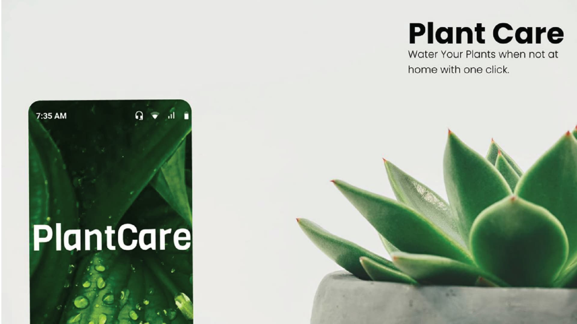 Plant Care